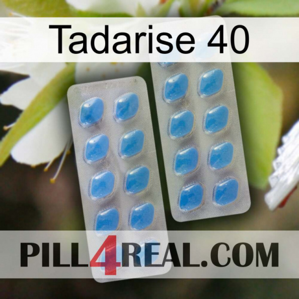 Tadarise 40 23.jpg